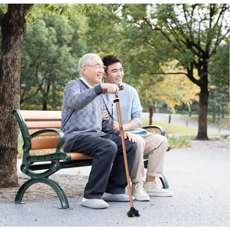 Verstellbarer Klappbarer Gehst – Folding Walking Sticks Hiking Adjustable Bewertung und Preis