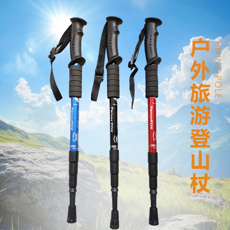 Trekkingstöcke Wanderstöcke Ve – Folding Walking Sticks Hiking Adjustable Bewertung und Preis