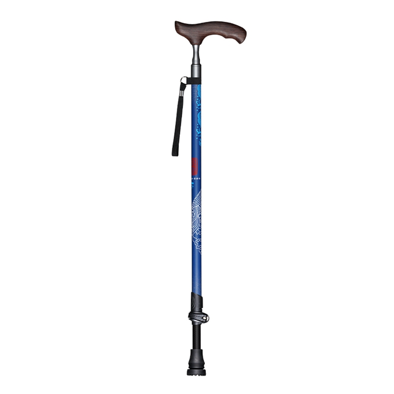 Gehstöcke aus Kohlefaser-Holz  – Nordic Walking Poles Carbon 100 Bewertung und Preis
