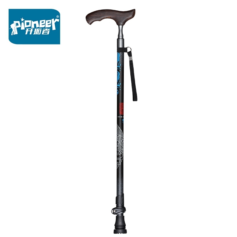 Gehstöcke aus Kohlefaser-Holz  – Nordic Walking Poles Carbon 100 Bewertung und Preis