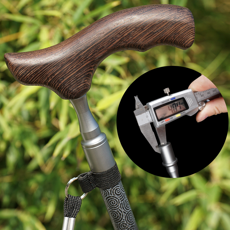 Gehstöcke aus Kohlefaser-Holz  – Nordic Walking Poles Carbon 100 Bewertung und Preis
