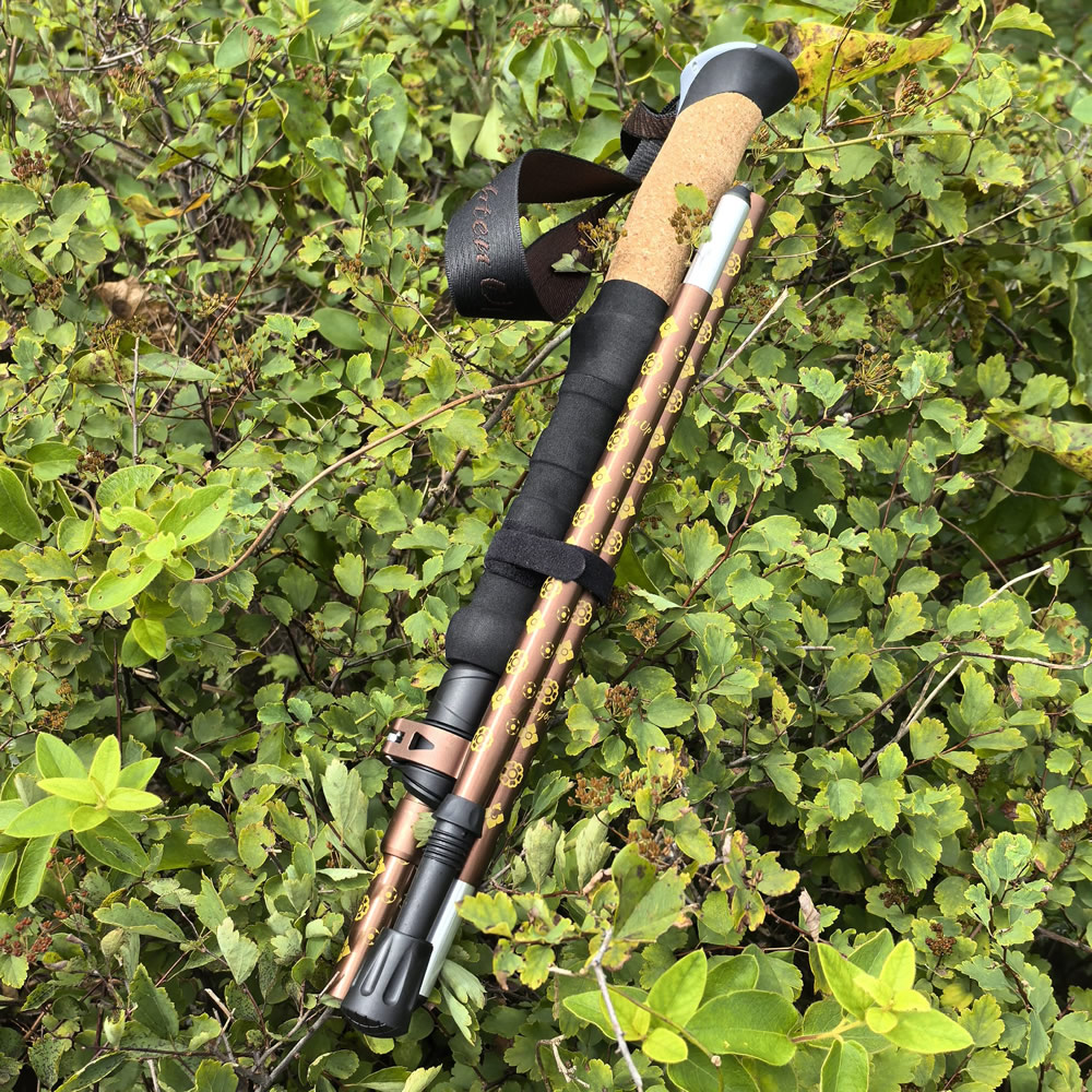 Verstellbarer Tragbarer Wander – Folding Walking Sticks Hiking Adjustable Bewertung und Preis